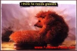 funny-picture-1300
