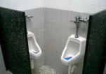 funny-picture-108