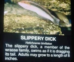 funny-picture-2895