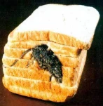 funny-picture-5327