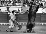funny-picture-2744
