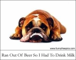 funny-picture-5275