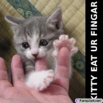 funny-picture-593