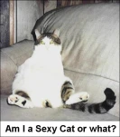 funny-picture-846