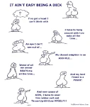 funny-picture-53