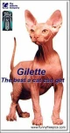 funny-picture-4764