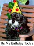 funny-picture-2301