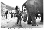 funny-picture-4753