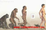 funny-picture-337