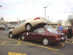 funny-picture-3944