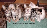 funny-picture-3495