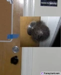 funny-picture-796