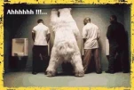 funny-picture-2647