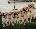 funny-picture-3675