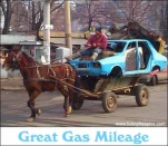 funny-picture-932