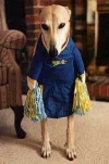 funny-picture-2694