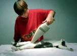 kittenlikesit