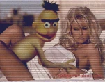 funny-picture-2030