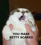 funny-picture-774