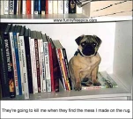funny-picture-4810