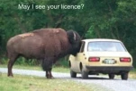 funny-picture-3468