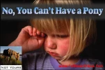 funny-picture-988