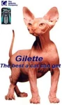 funny-picture-856