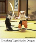 funny-picture-3907
