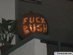 funny-picture-3502