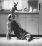funny-picture-4026