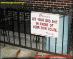 funny-picture-3970