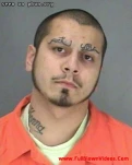 funny-picture-1374