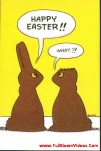 funny-picture-1293