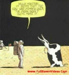 funny-picture-2034