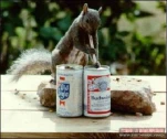 funny-picture-642