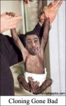 funny-picture-933