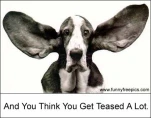 funny-picture-4292
