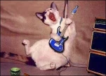 funny-picture-2225