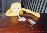 funny-picture-780