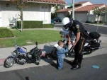 funny-pictures214