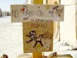 funny-picture-4063