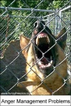 funny-picture-3383