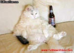 funny-picture-2291