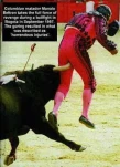 funny-picture-4279
