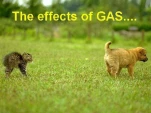 funny-picture-3276