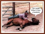 funny-picture-4363