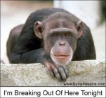 funny-picture-171