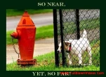 funny-picture-1852
