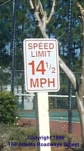 funny-picture-4369