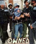 funny-picture-273